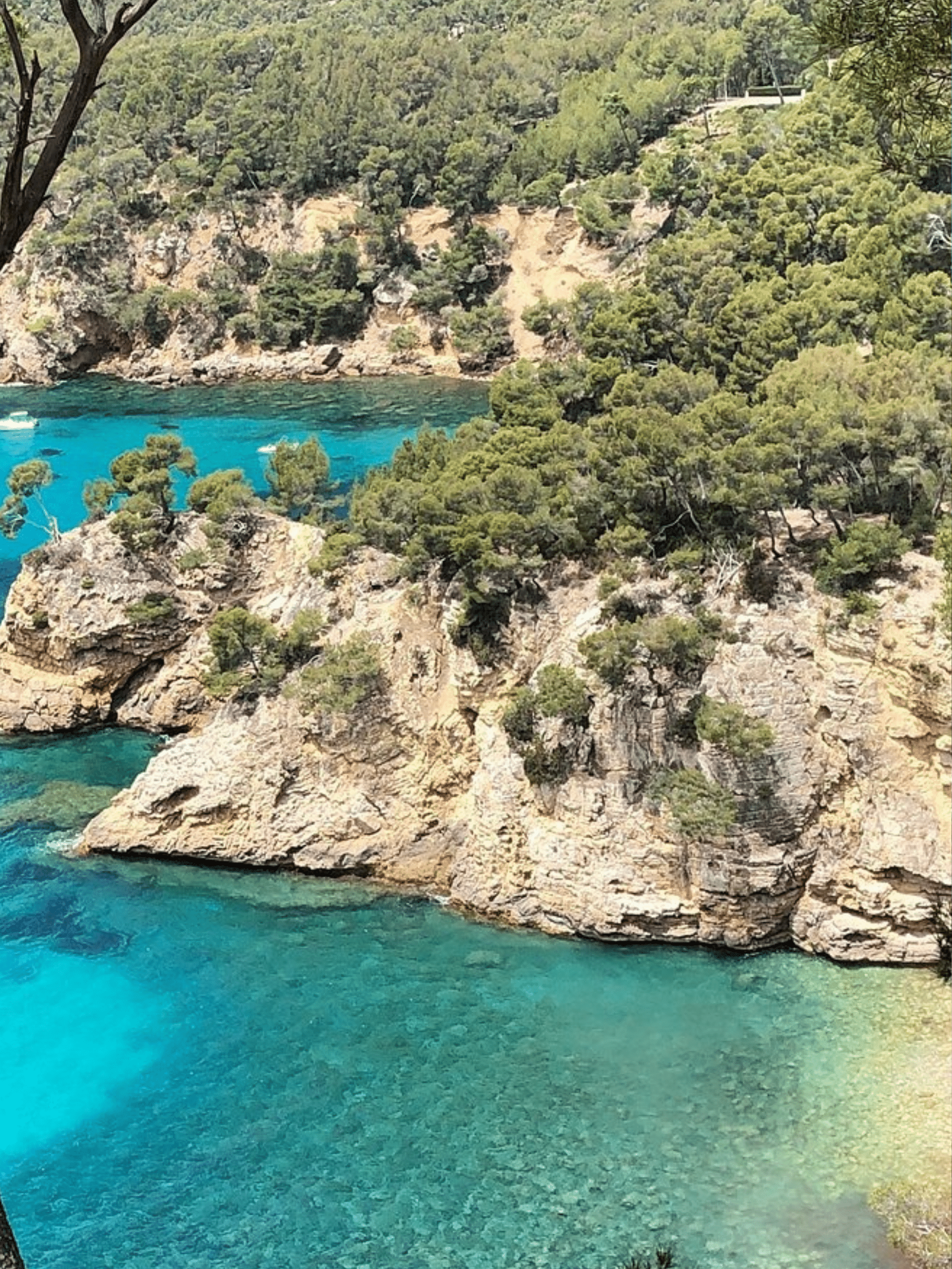Agence immobilière Saint-Cyr-sur-Mer