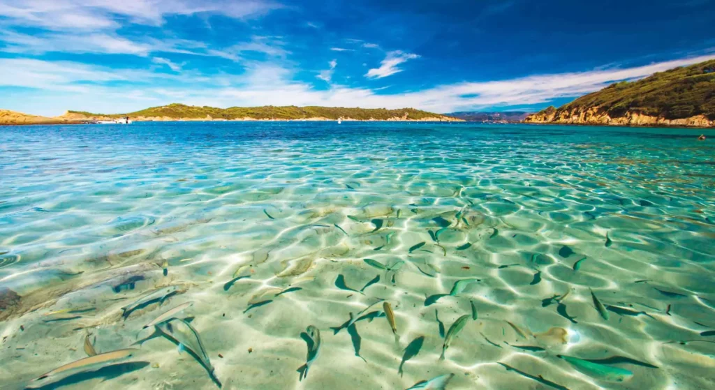 Les plus belles plages autour du Brusc