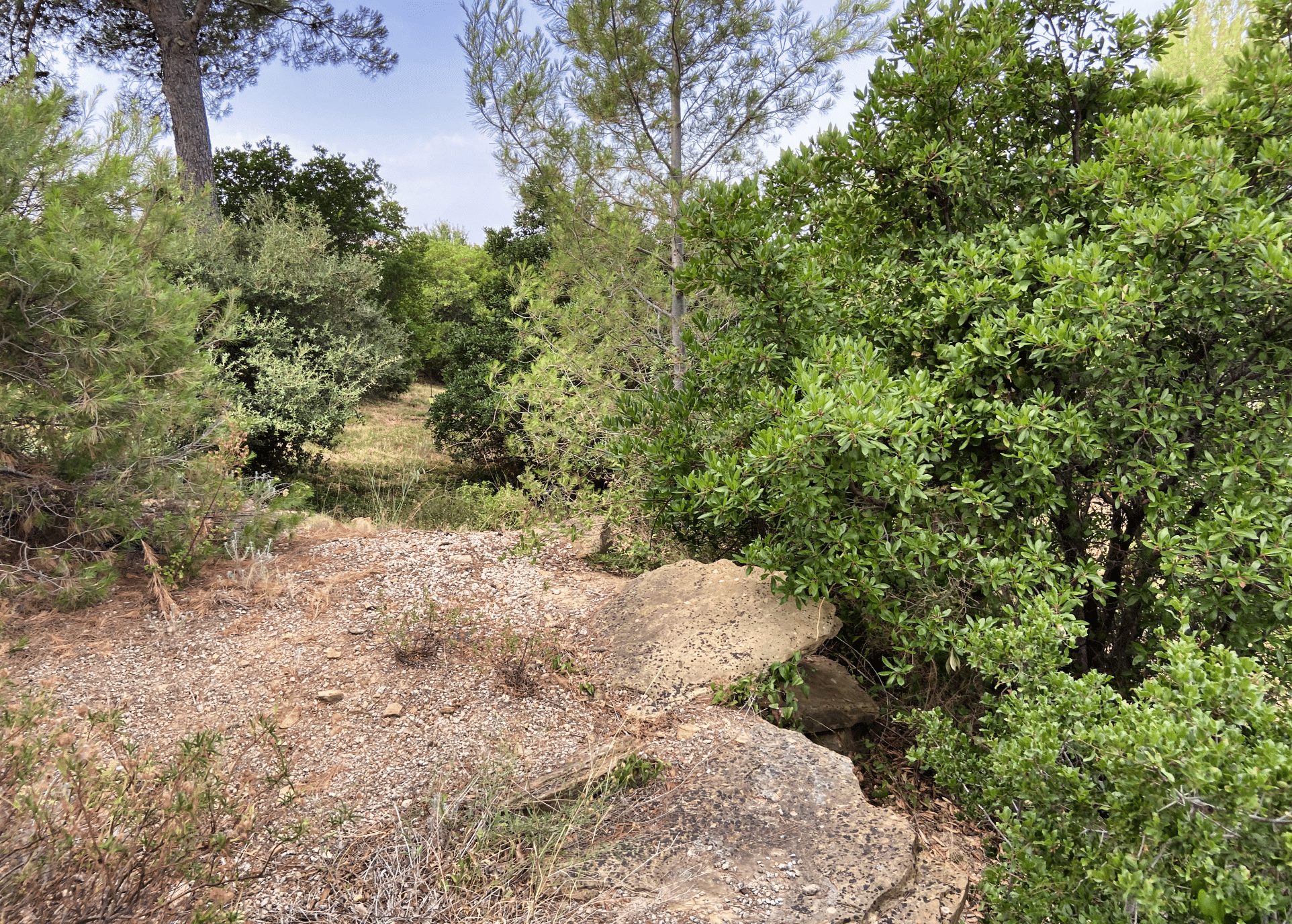 La Nature en Provence, villa provençale à vendre à La Cadière-d'Azur — vue 16 — Maison & Vous