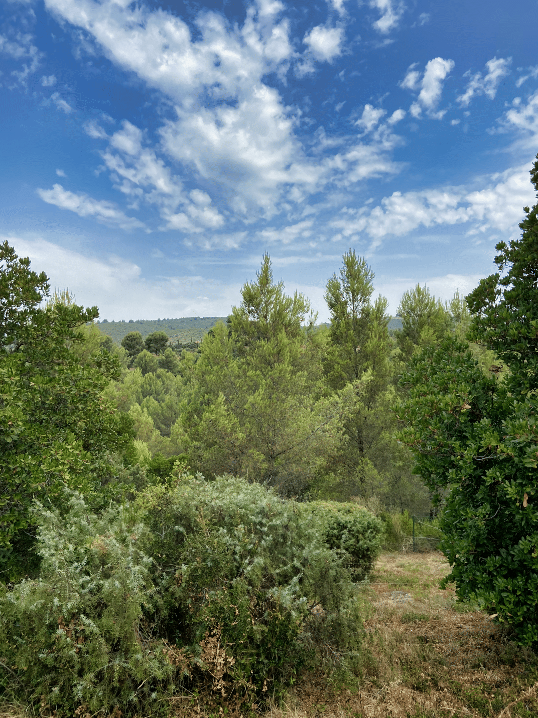 La Nature en Provence, villa provençale à vendre à La Cadière-d'Azur — vue 17 — Maison & Vous