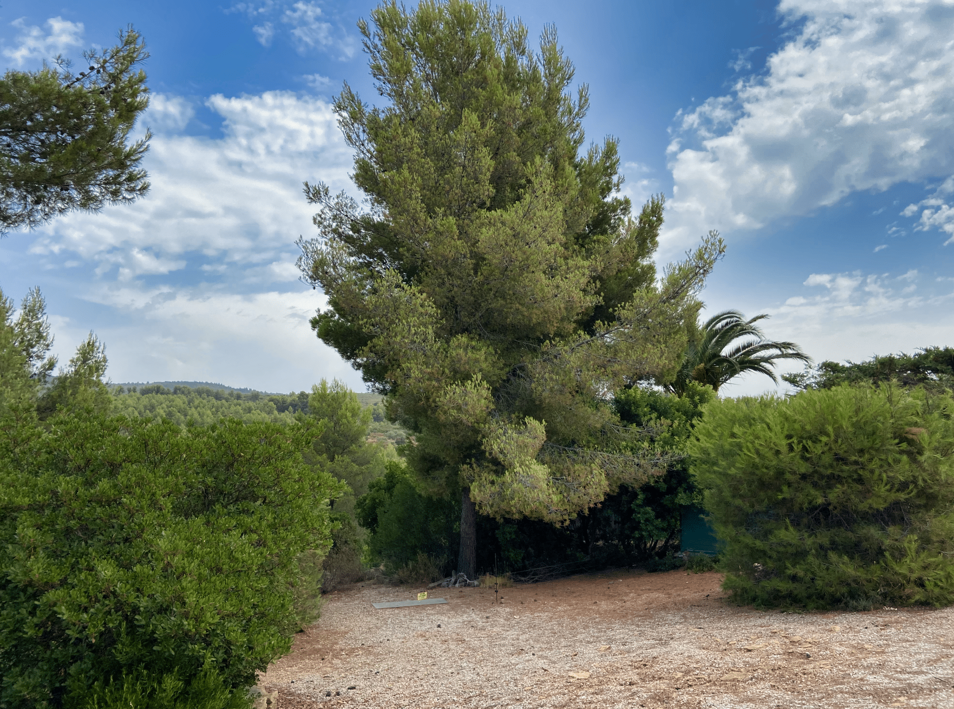 La Nature en Provence, villa provençale à vendre à La Cadière-d'Azur — vue 14 — Maison & Vous