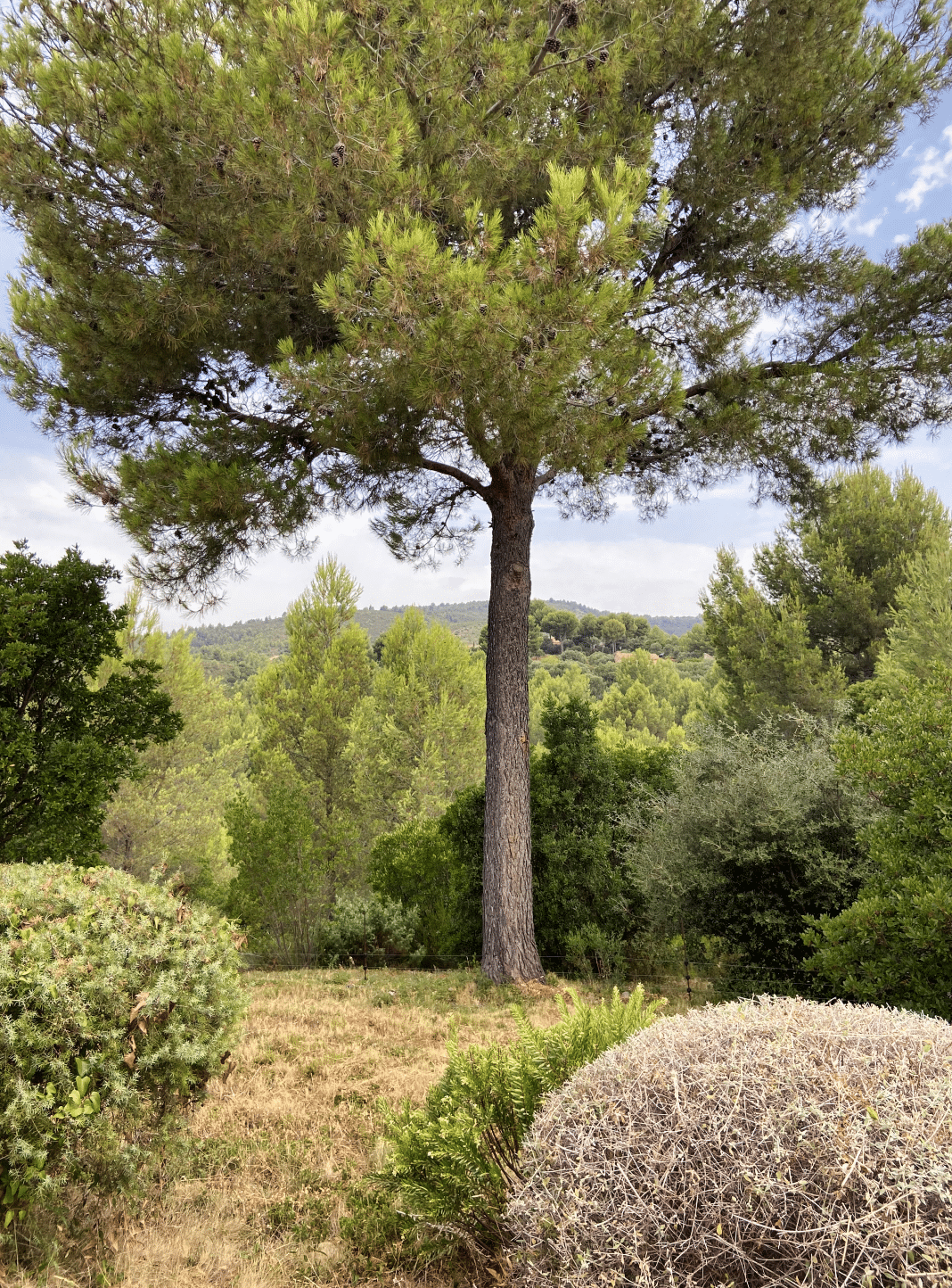 La Nature en Provence, villa provençale à vendre à La Cadière-d'Azur — vue 13 — Maison & Vous