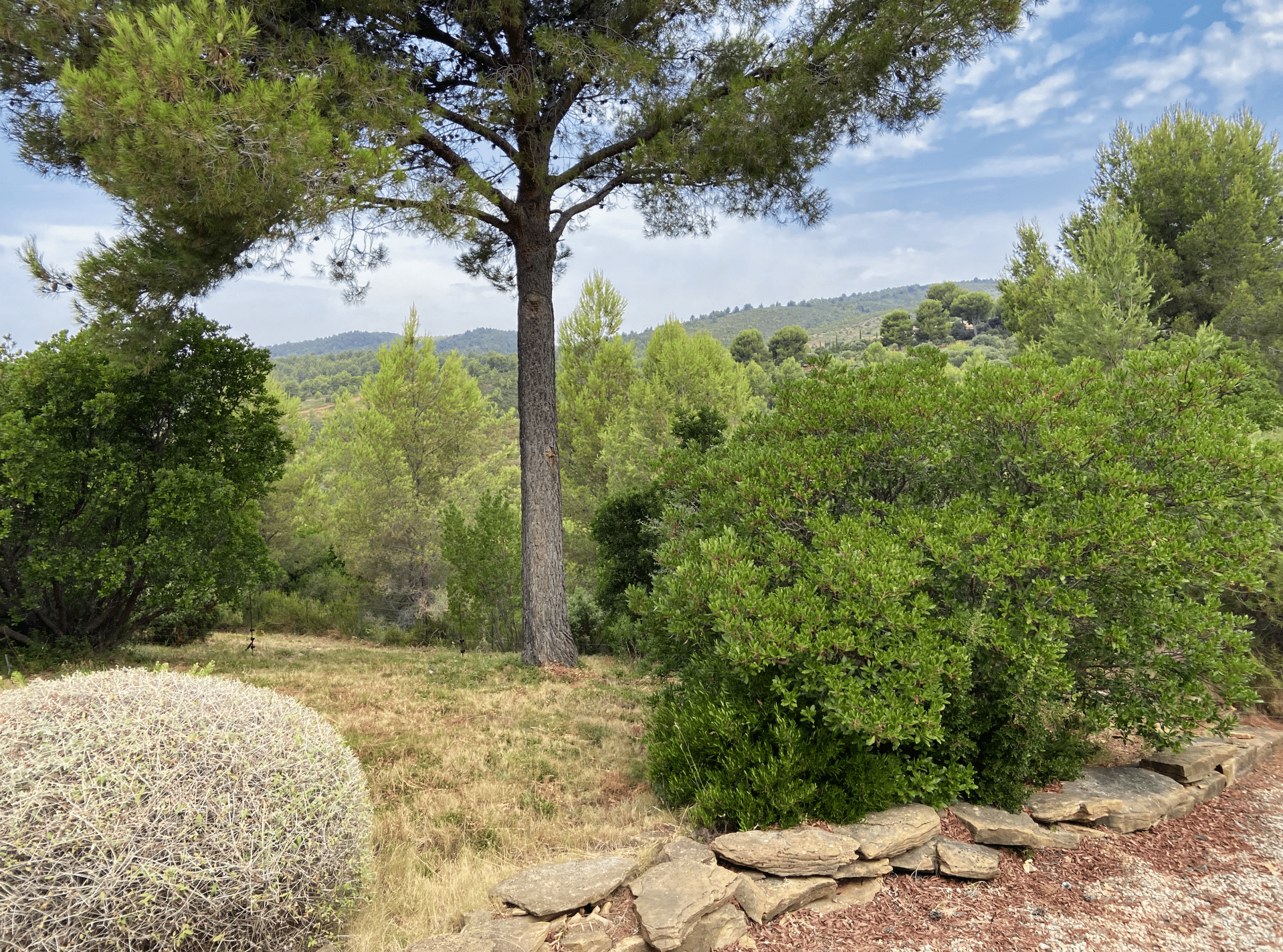 La Nature en Provence, villa provençale à vendre à La Cadière-d'Azur — vue 12 — Maison & Vous