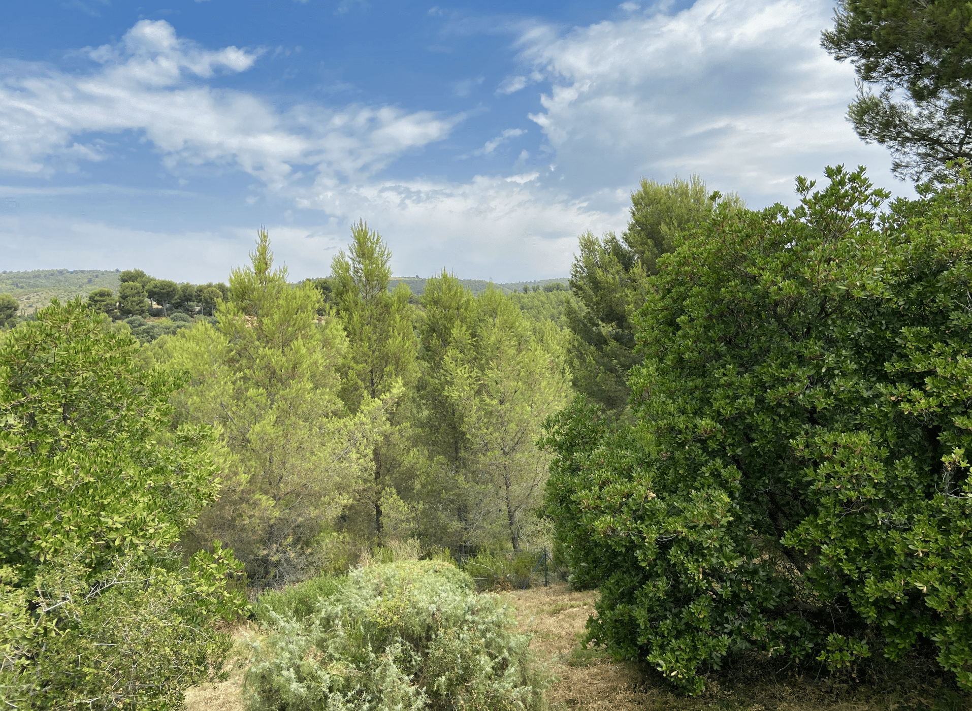 La Nature en Provence, villa provençale à vendre à La Cadière-d'Azur — vue 7 — Maison & Vous