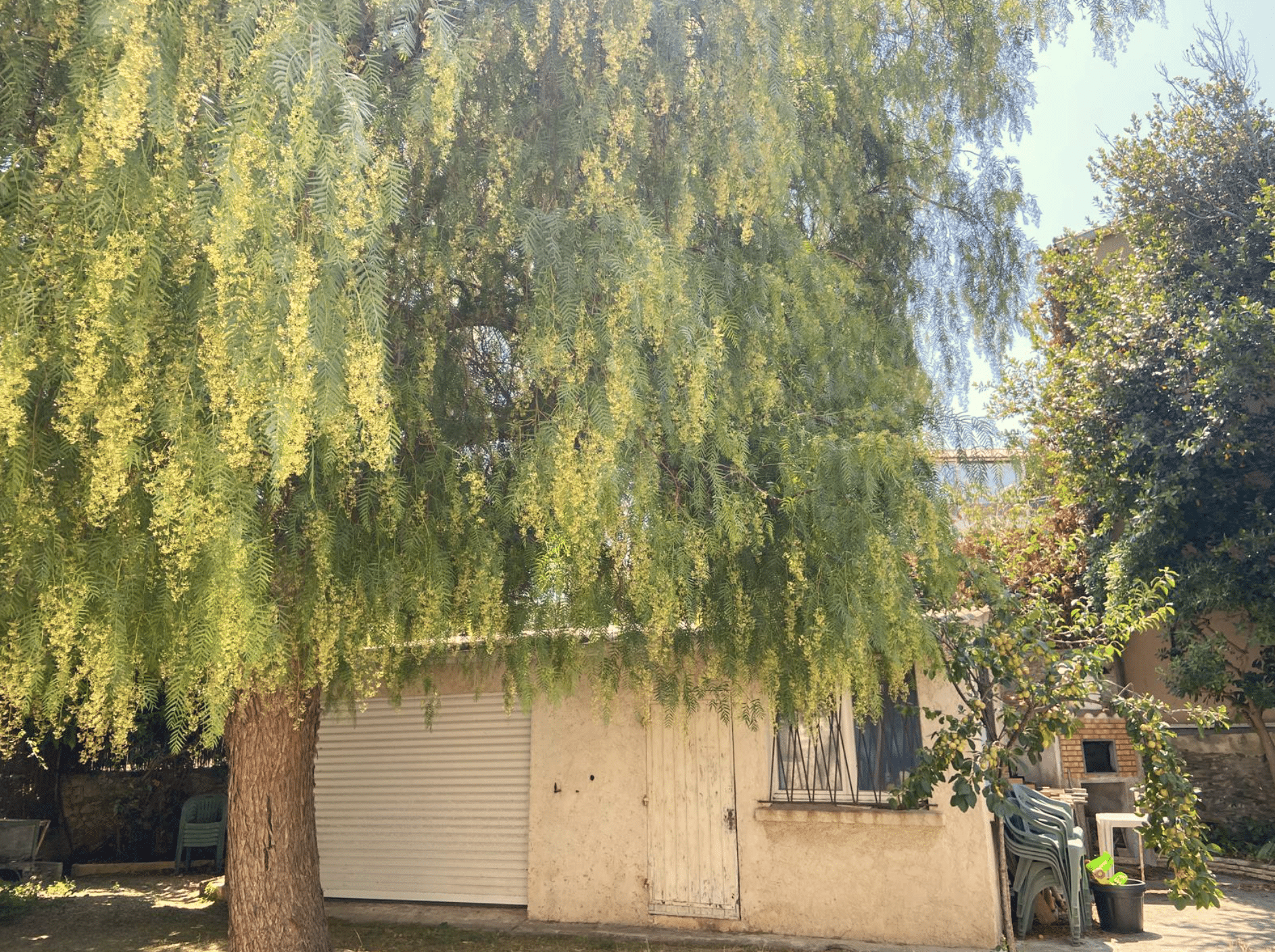 Maison avec jardin à vendre au Brusc, secteur recherché de Six-Fours