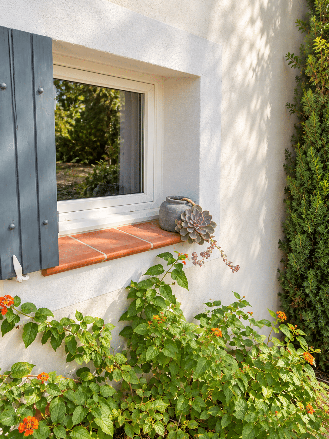 Villa d'architecte à vendre au Castellet : volets et bougainvillier · Maison & Vous