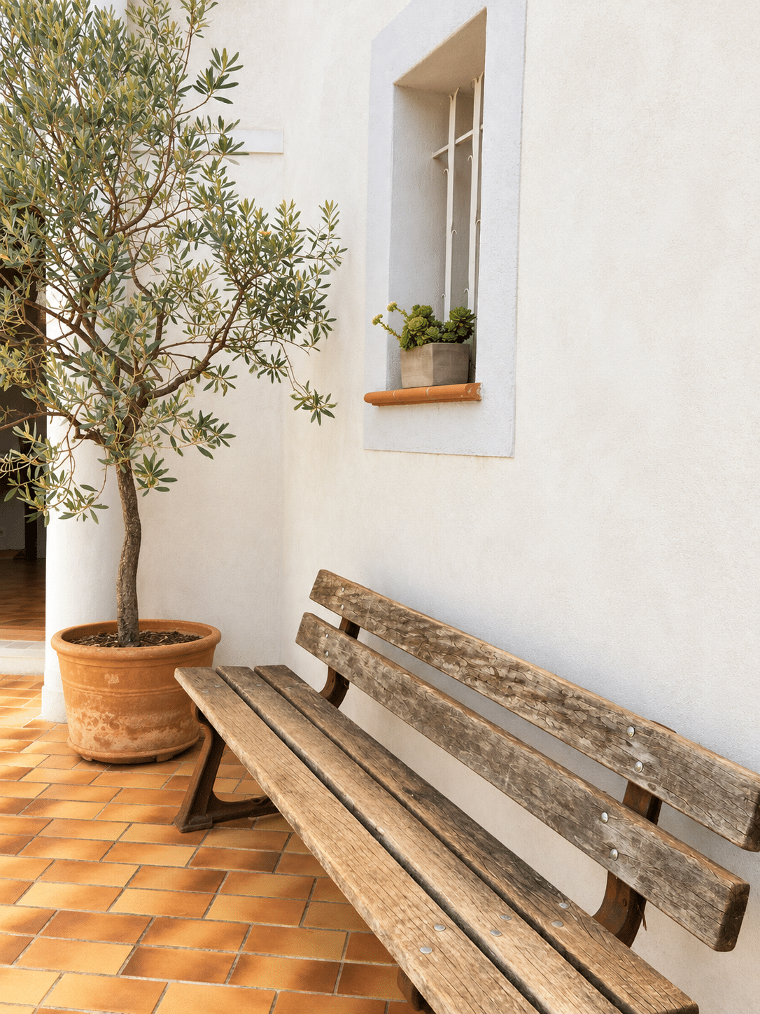 Villa d'architecte à vendre au Castellet : banc et olivier devant la façade · Maison & Vous