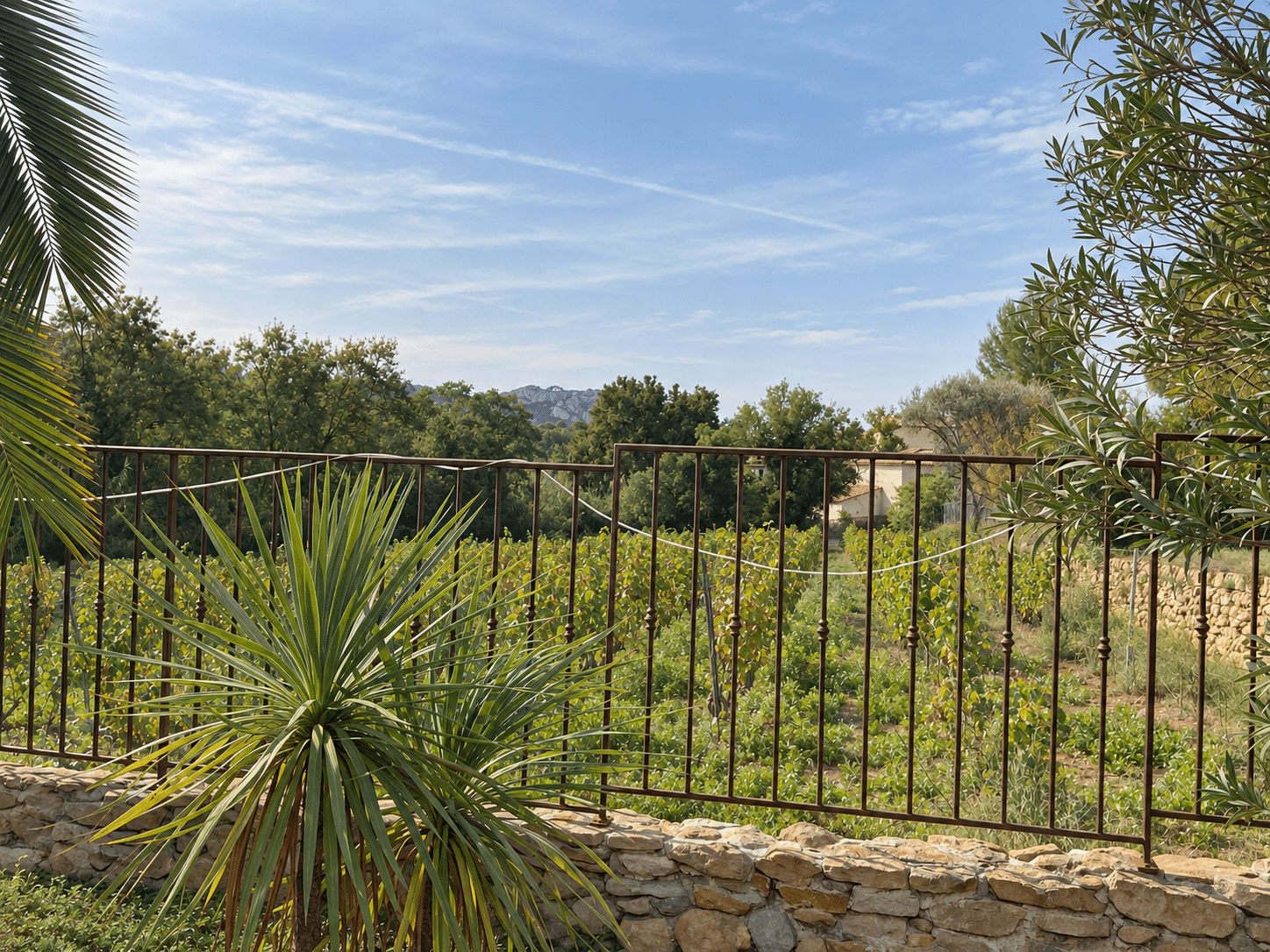 Villa d'architecte à vendre au Castellet : vue sur les vignes et les collines · Maison & Vous